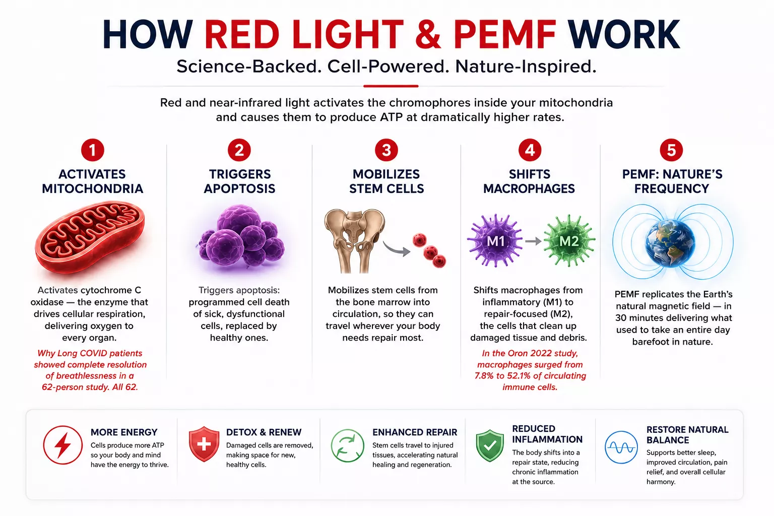 How red light and PEMF work